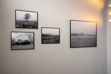 262 Grayscale