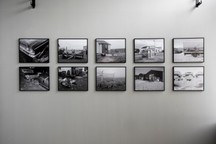 262 Grayscale