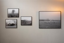 262 Grayscale