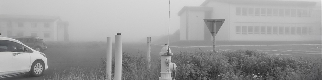 262 Grayscale