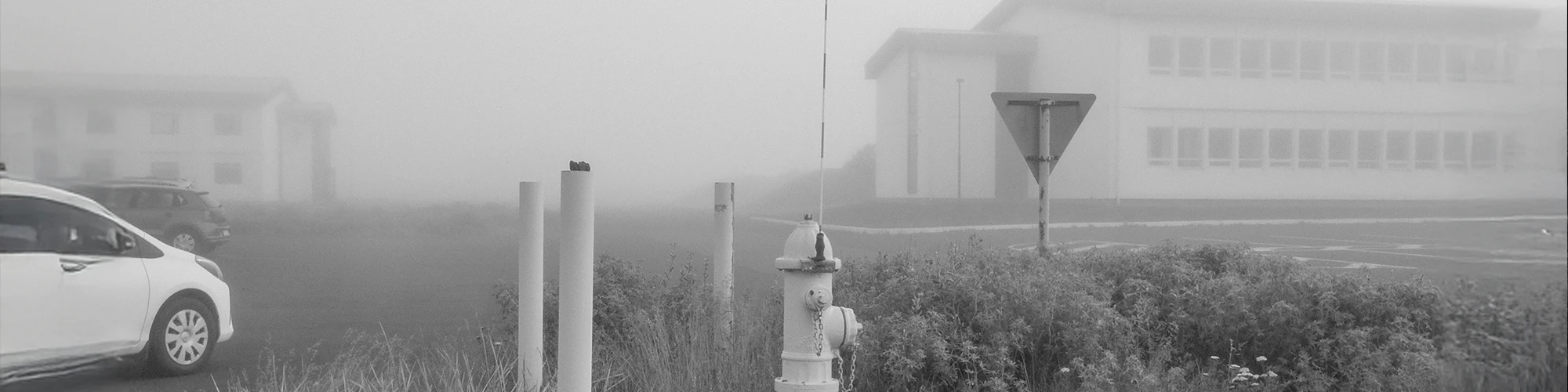 262 Grayscale