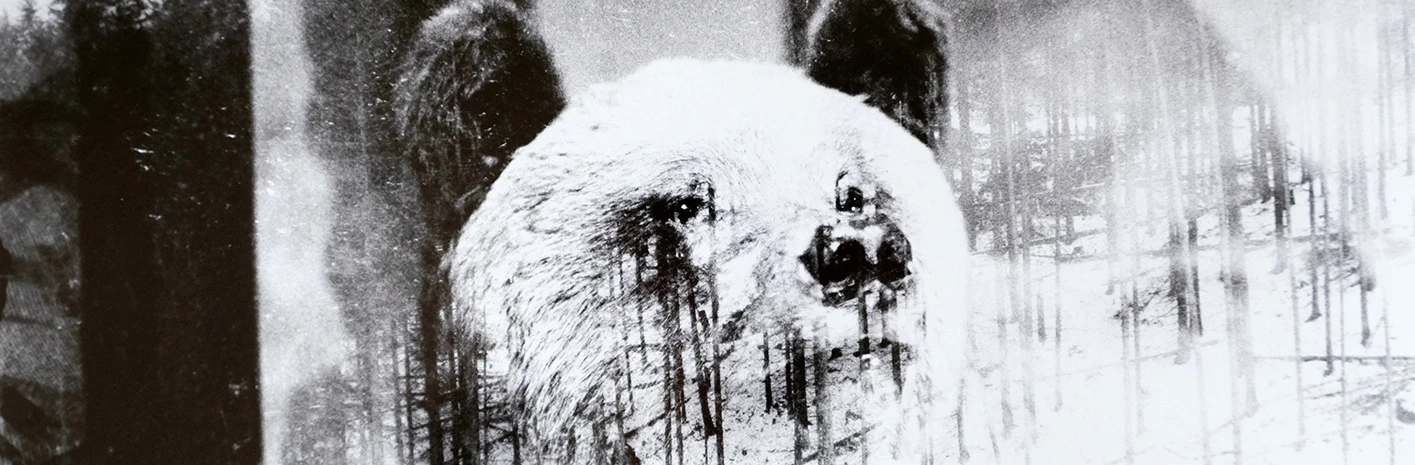 Anima