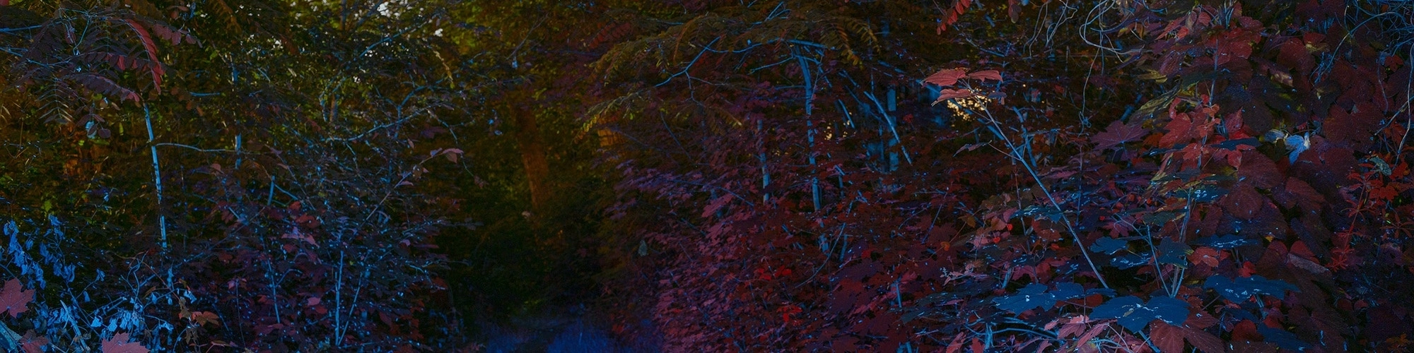 Myśląc o fotografii