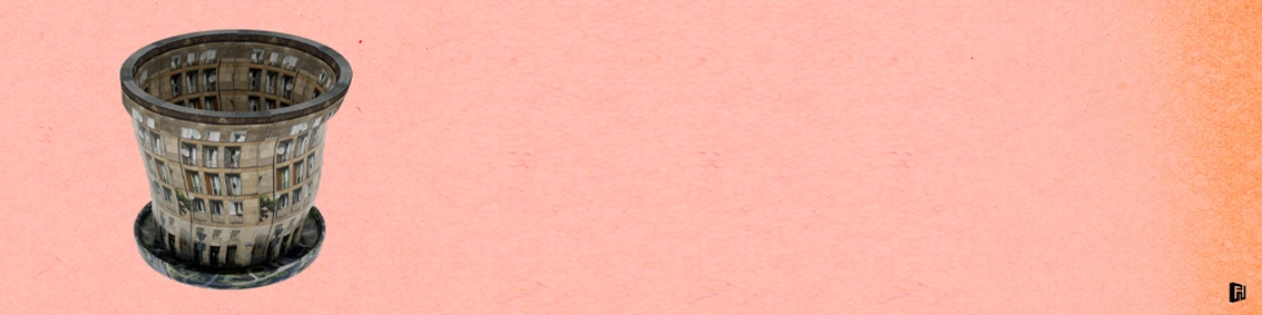 Bukiet Niezapominajek