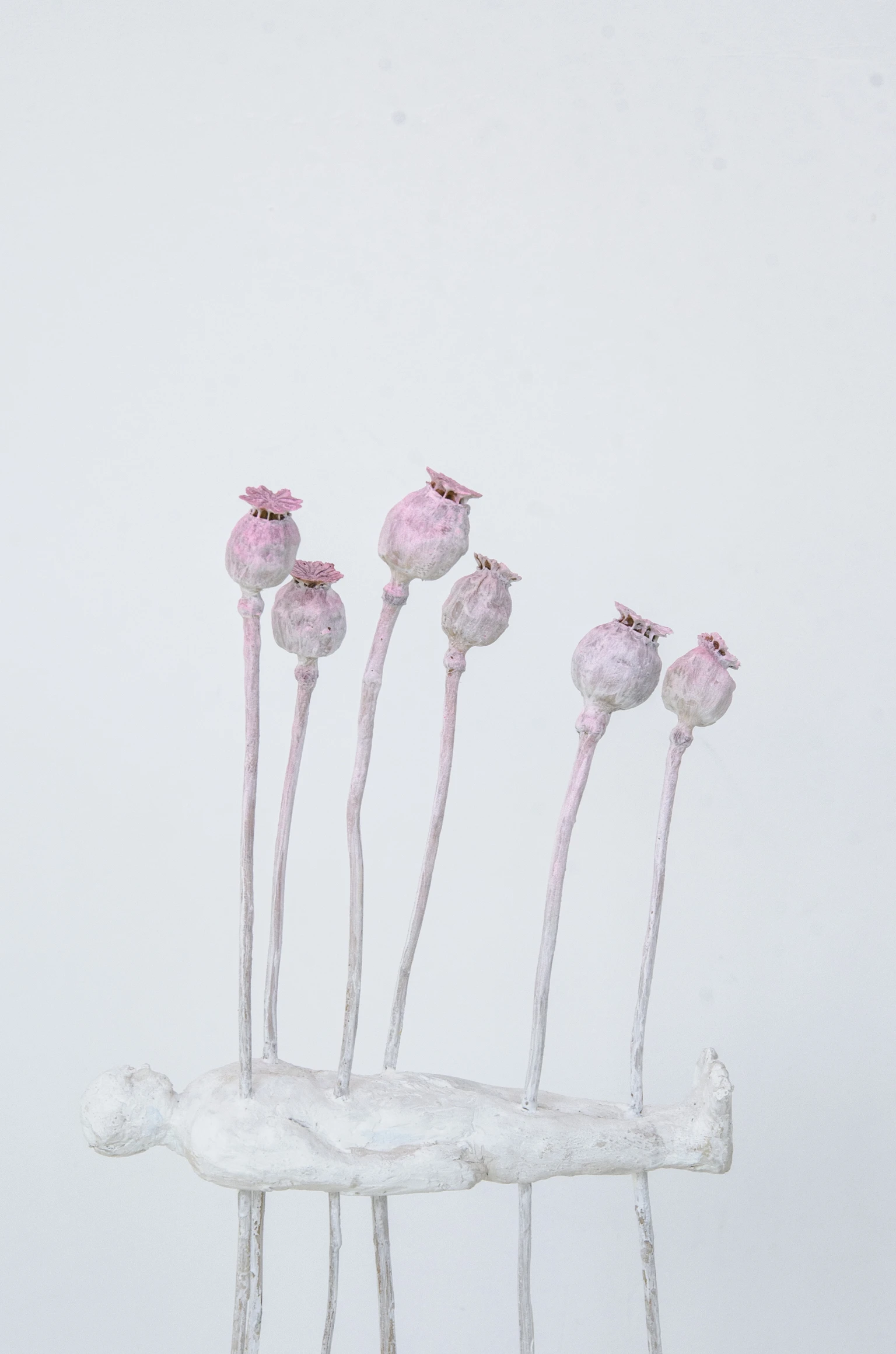 Zasady współpracy z Galerią Pracownia Wschodnia