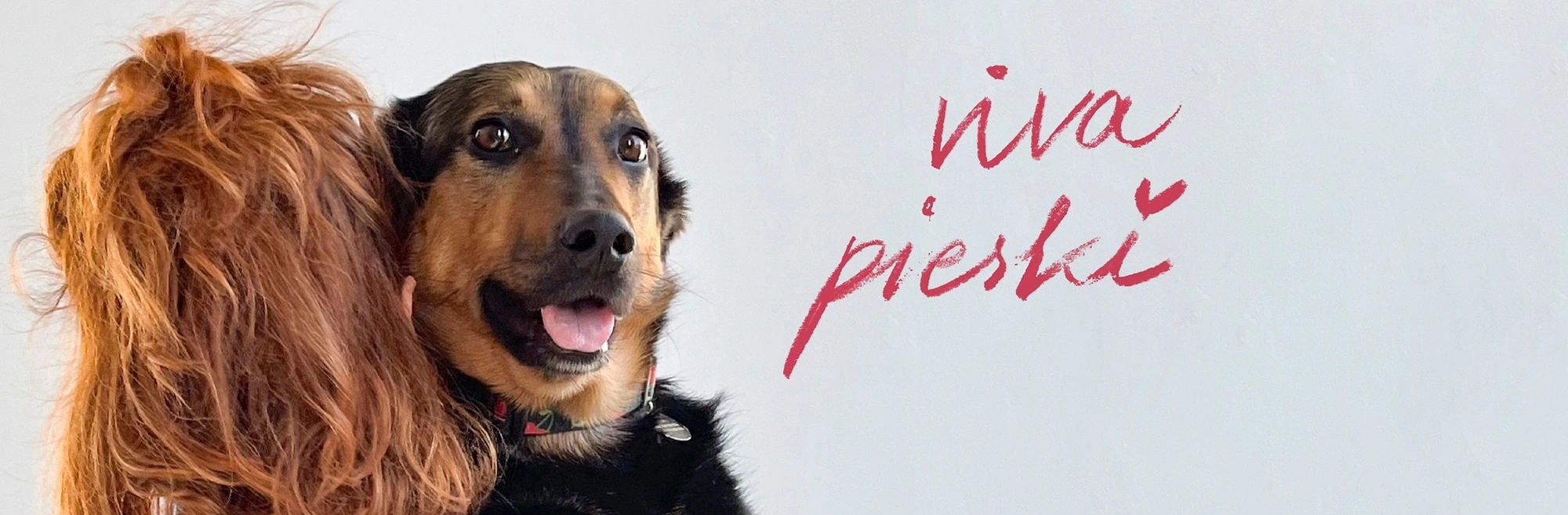 Viva Pieski 4